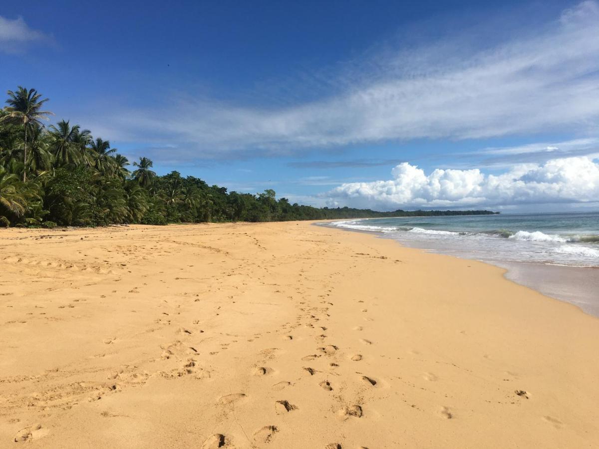 Jungle Bluff Beach Paradise - Jungle House Bocas del Toro Exterior photo