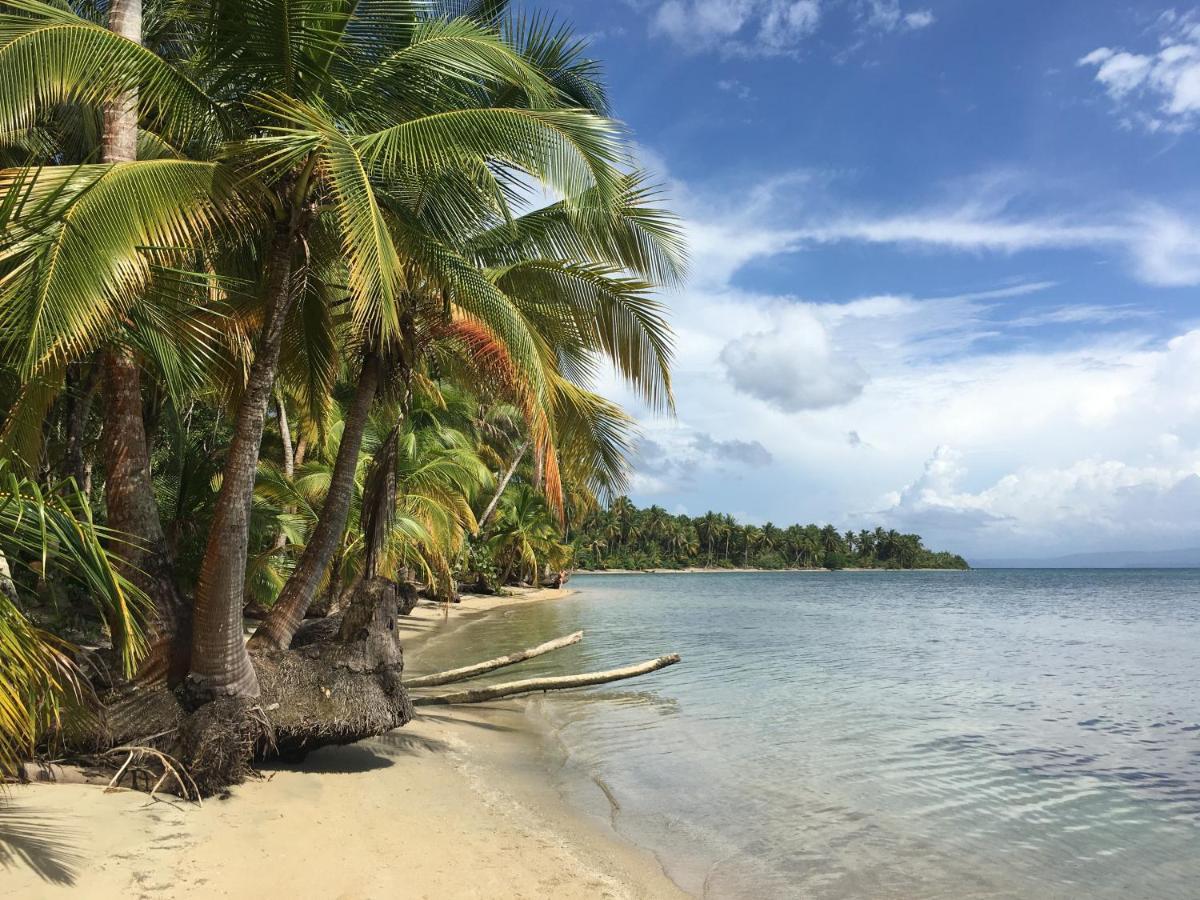 Jungle Bluff Beach Paradise - Jungle House Bocas del Toro Exterior photo