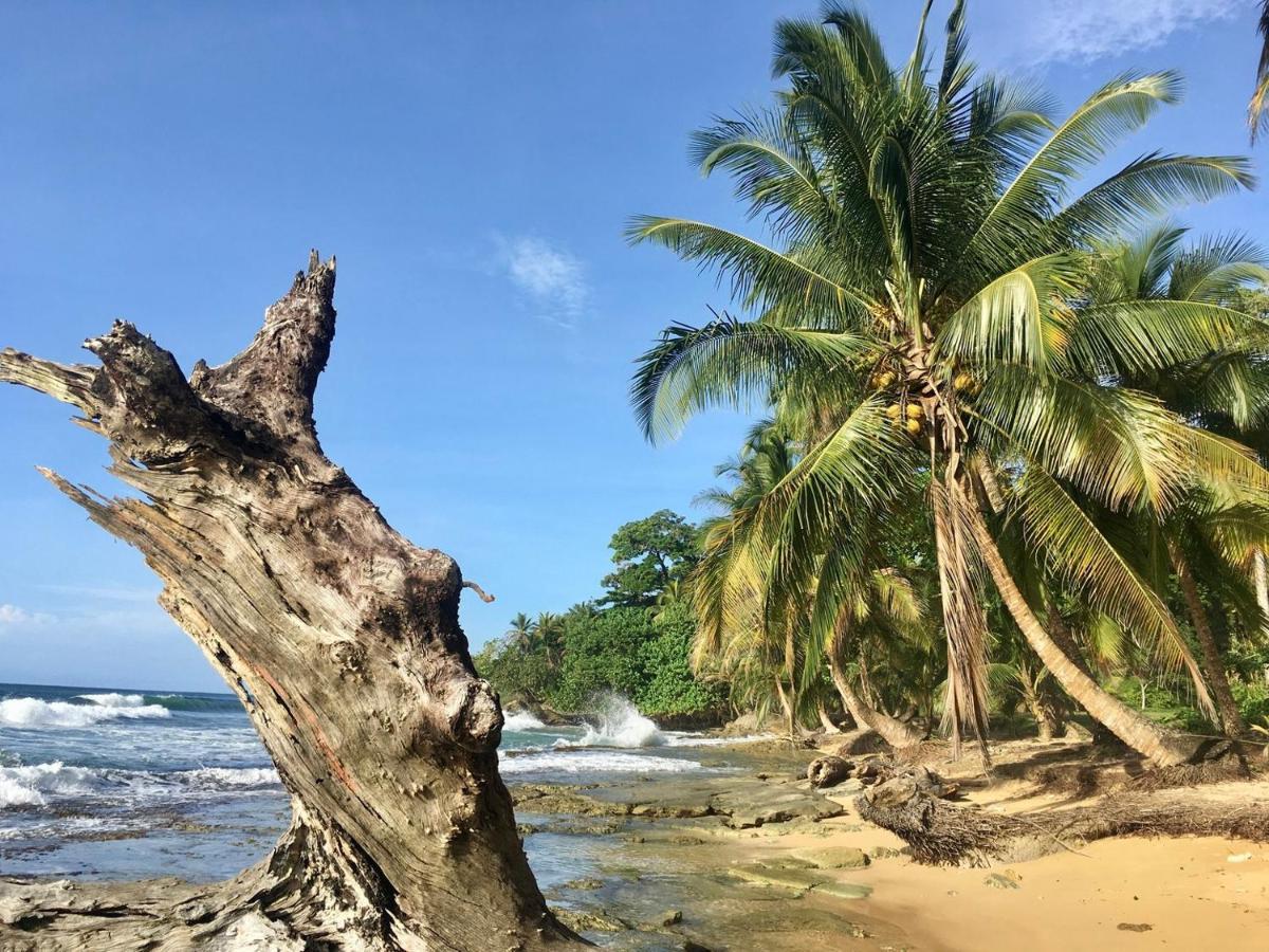 Jungle Bluff Beach Paradise - Jungle House Bocas del Toro Exterior photo