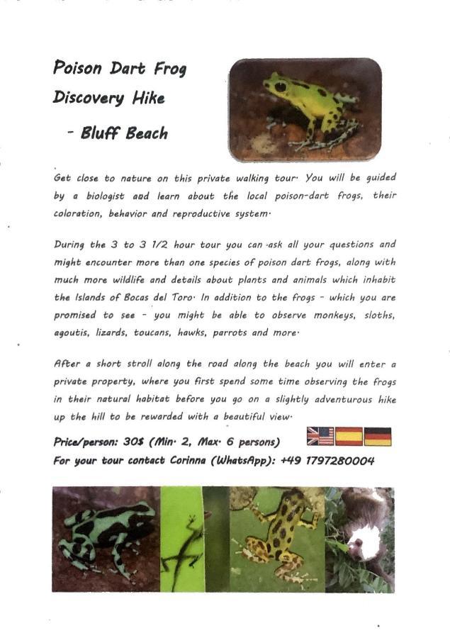 Jungle Bluff Beach Paradise - Jungle House Bocas del Toro Exterior photo