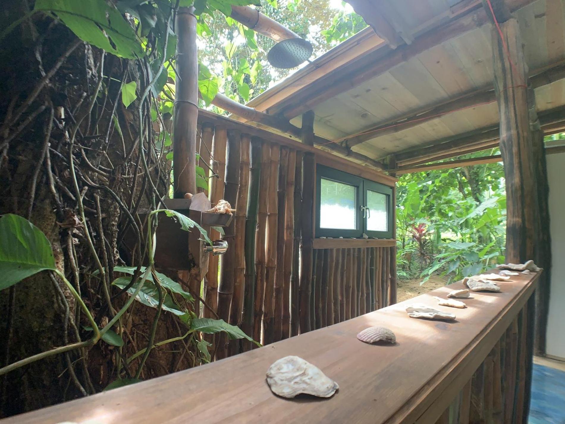 Jungle Bluff Beach Paradise - Jungle House Bocas del Toro Room photo